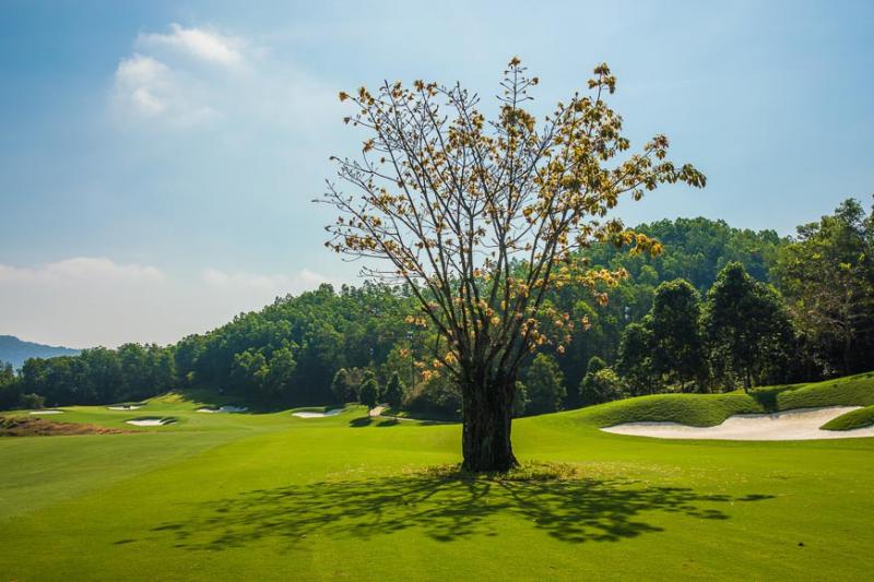 Danang - Hue Golf Tour 4 Days Danang - Hue Golf Tour 4 Days